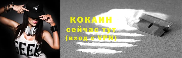 гидра Верхний Тагил