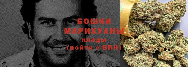 гидра Верхний Тагил