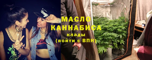 гидра Верхний Тагил
