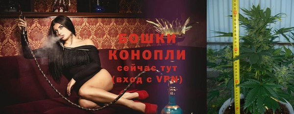 гидра Верхний Тагил