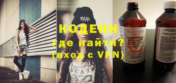 гидра Верхний Тагил