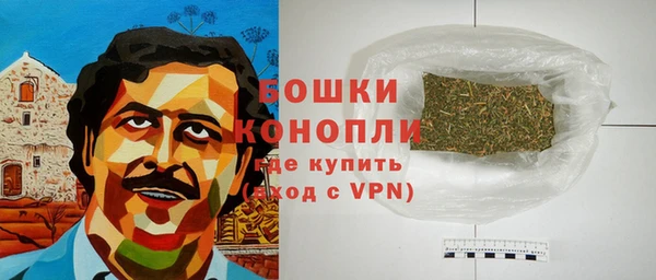 гидра Верхний Тагил