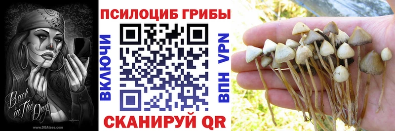Псилоцибиновые грибы ЛСД как найти закладки Губкинский